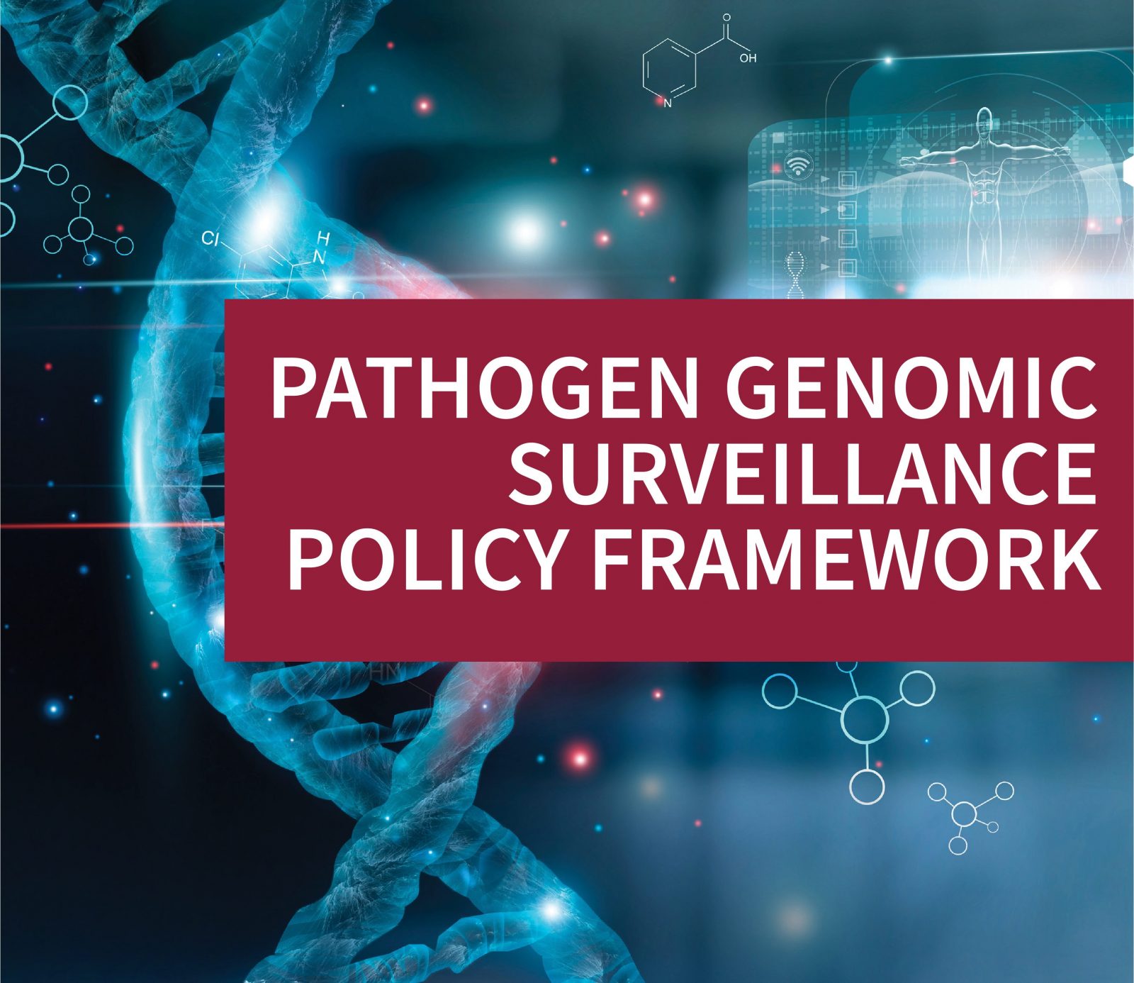 Policy Framework web-01